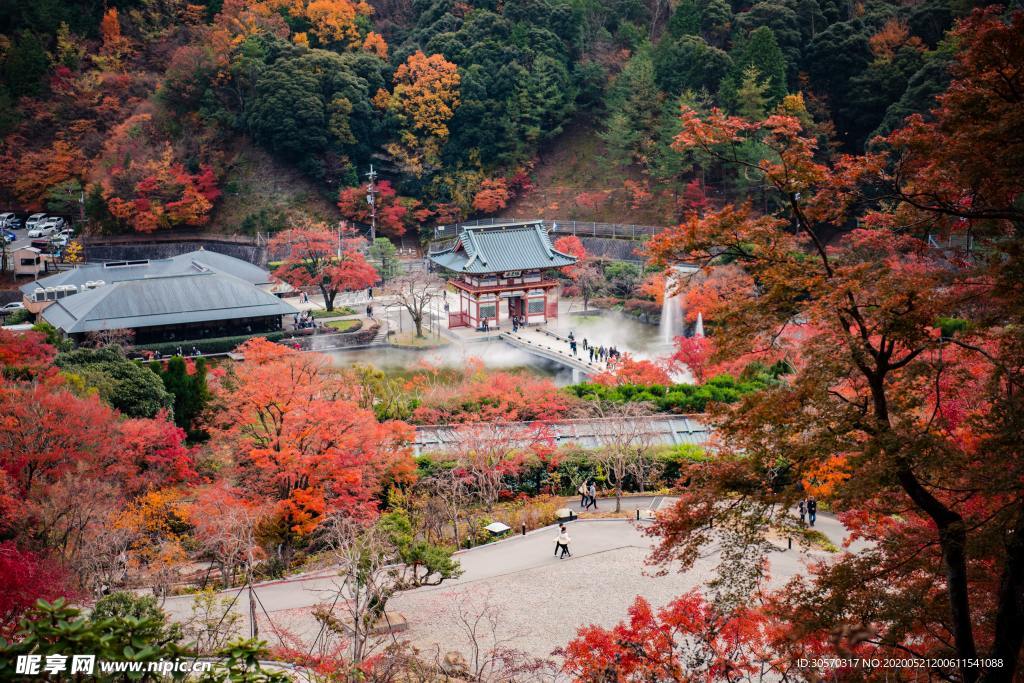 风景