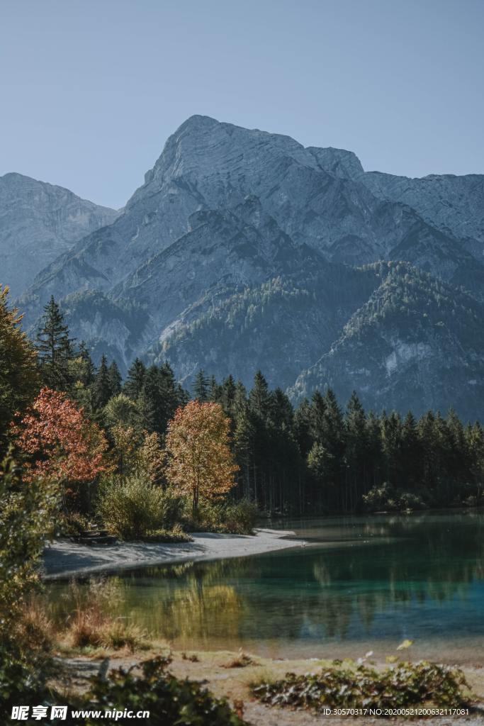 风景