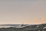 风景