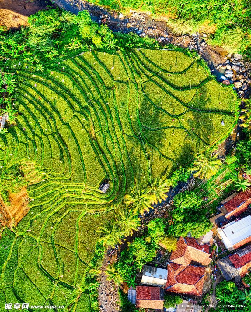 风景