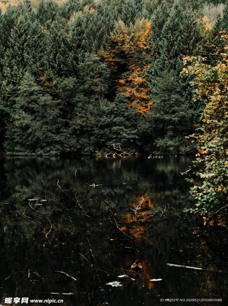 风景