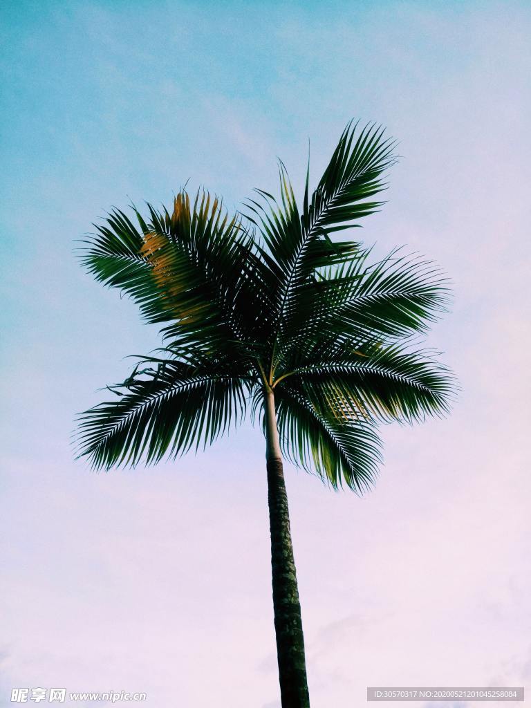 风景