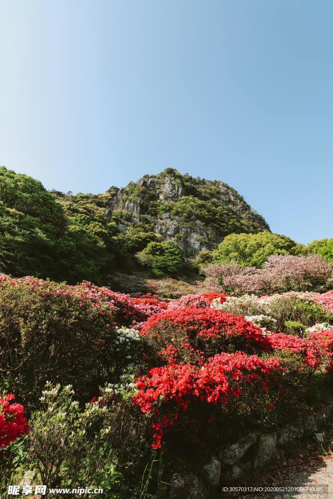 风景