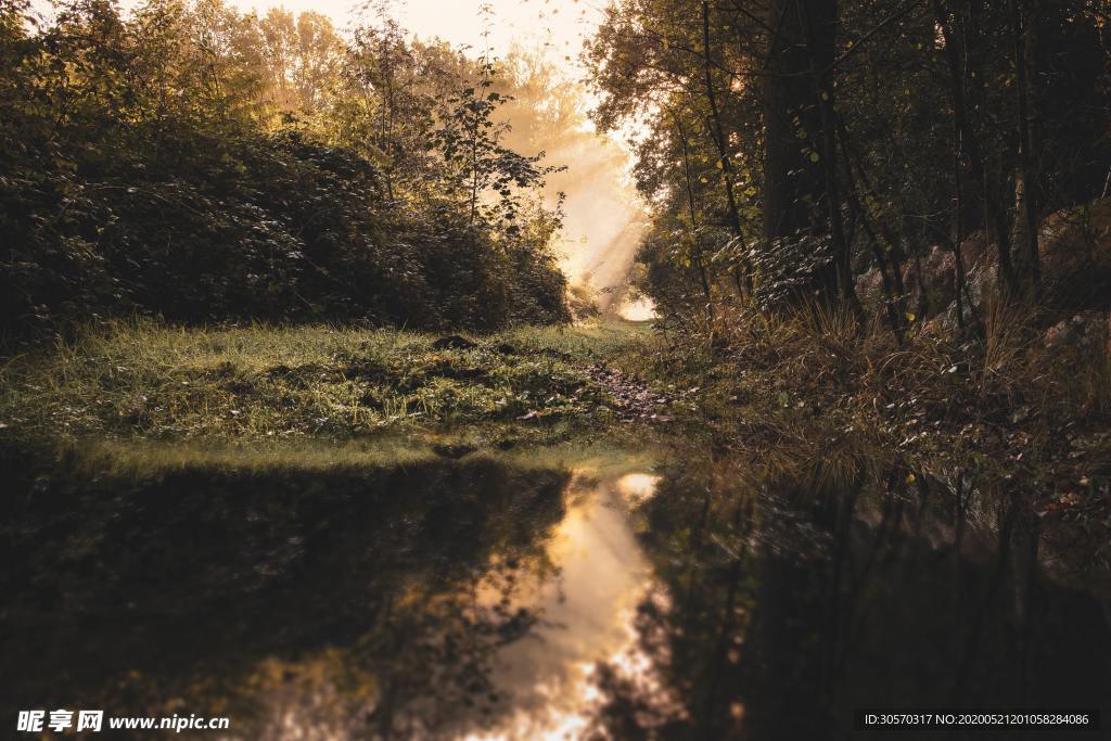 风景