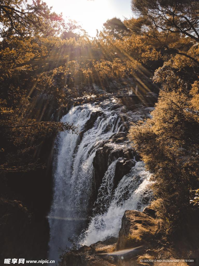 风景