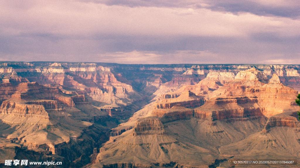 风景