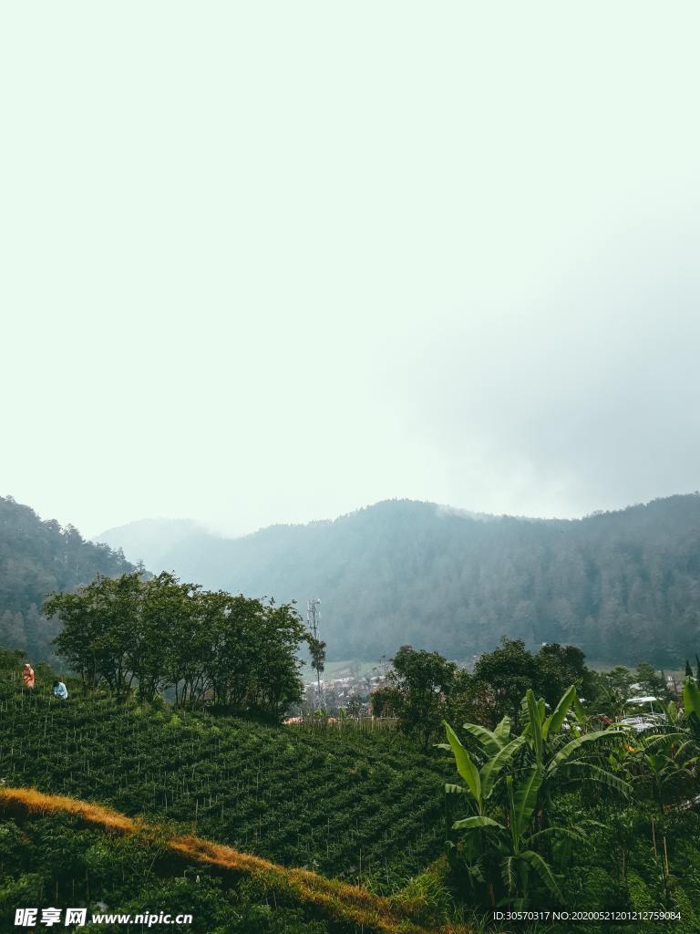 风景