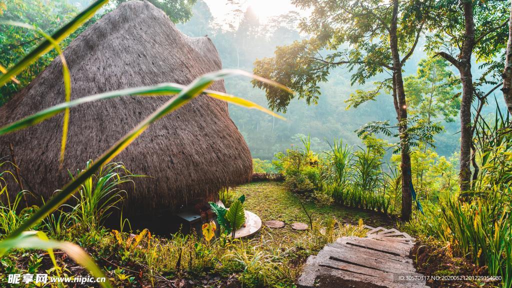 风景