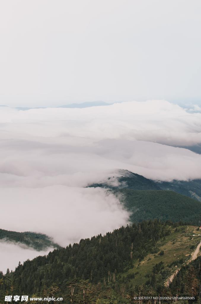 风景
