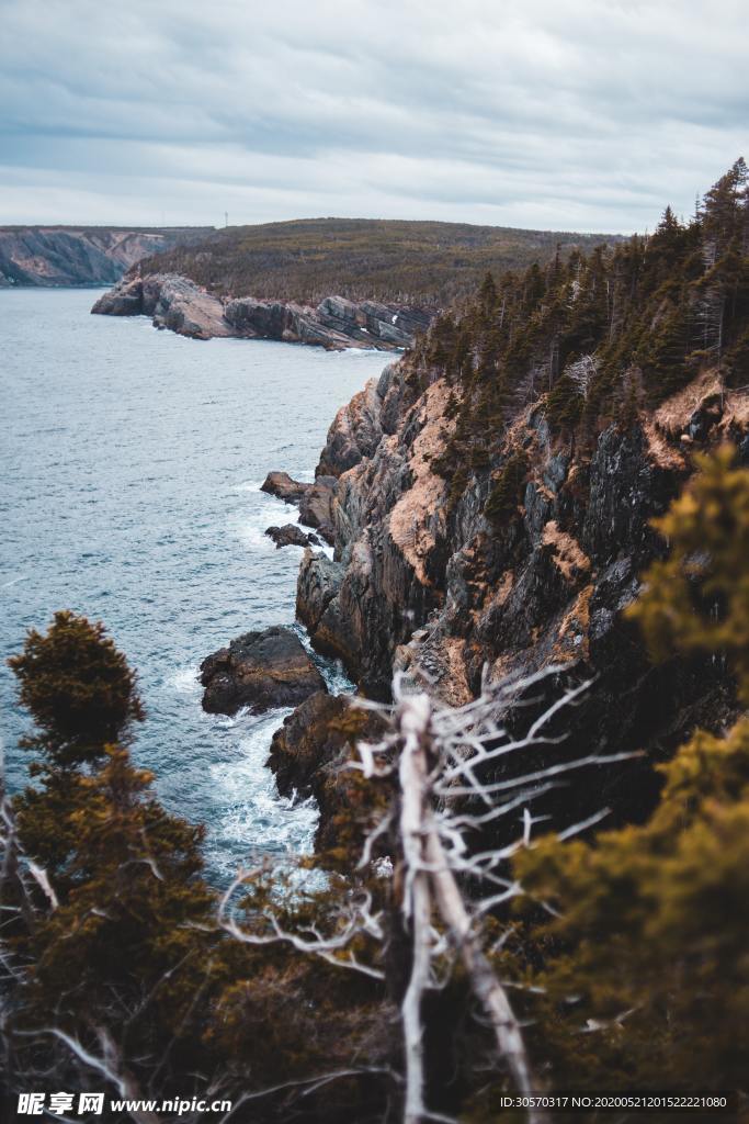 风景