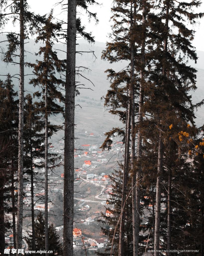 景色