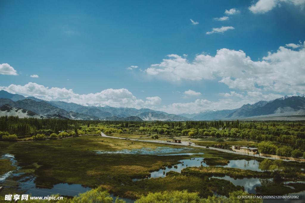 景色