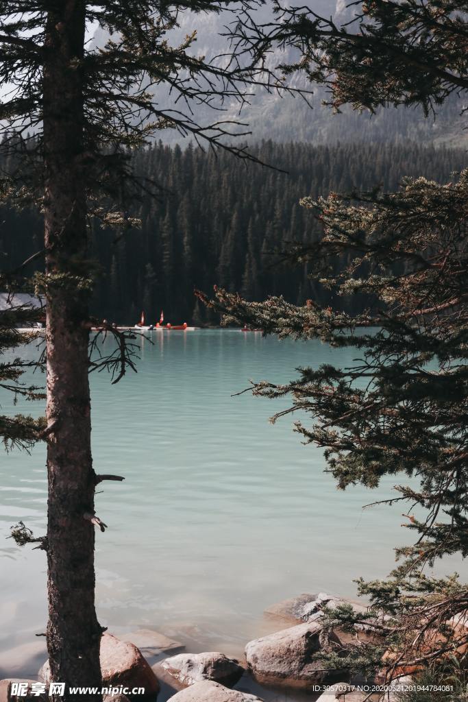 风景