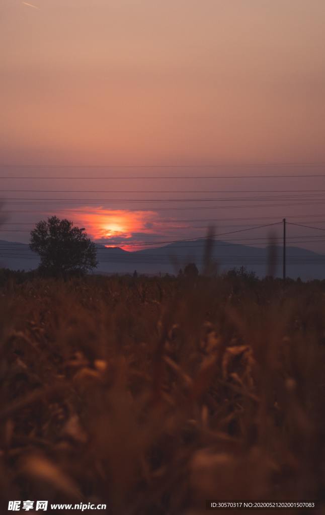 景色
