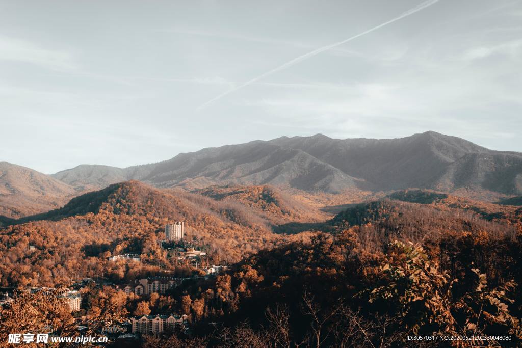 景色