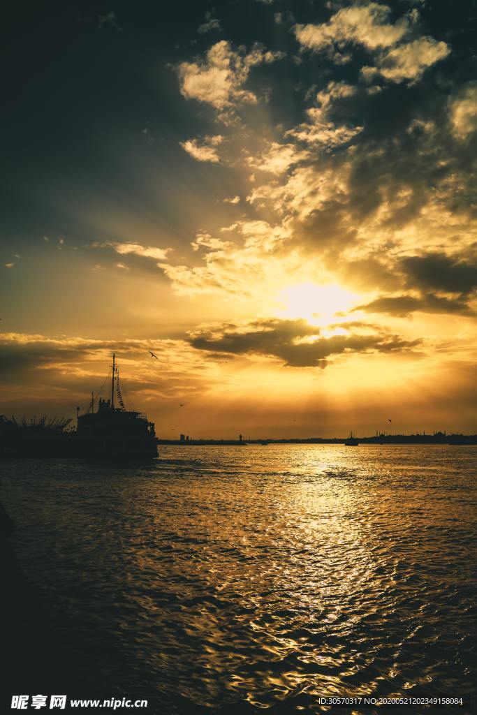 海