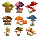 9组卡通蘑菇设计矢量素材