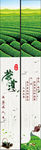 茶叶海报
