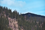 山林