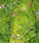 鸟瞰田野