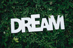 绿色叶子背景 DREAM