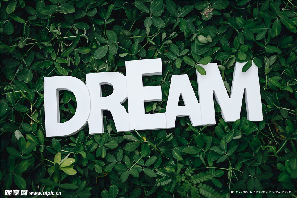 绿色叶子背景 DREAM