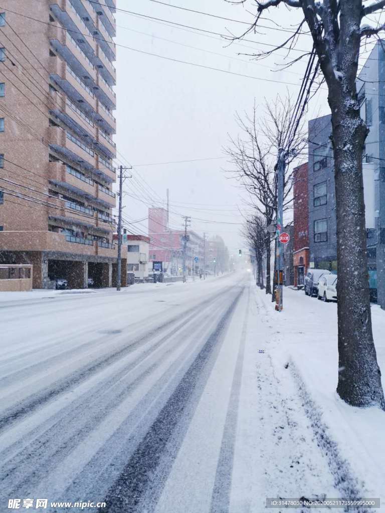 北海道雪景