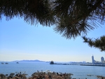蓝天白云松树栈桥风景