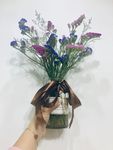 补血草