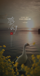 梦幻优美水乡风情海报