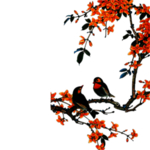 燕子素材