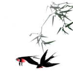 燕子素材