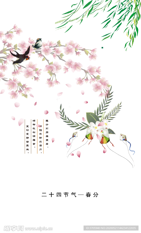 燕子素材