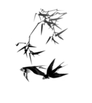 燕子素材