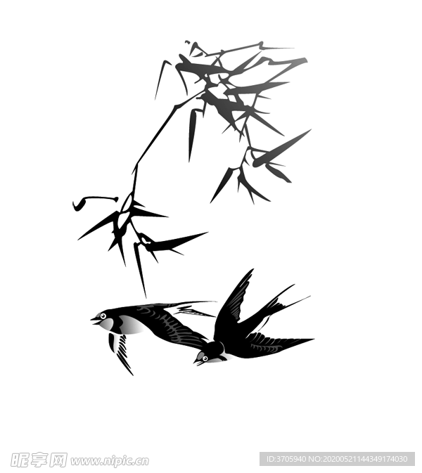 燕子素材