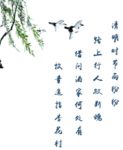 燕子素材