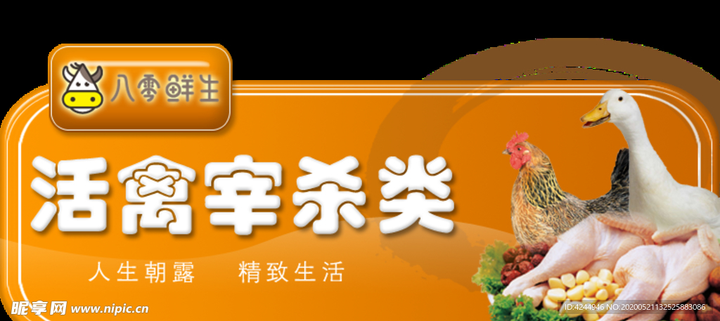 活禽