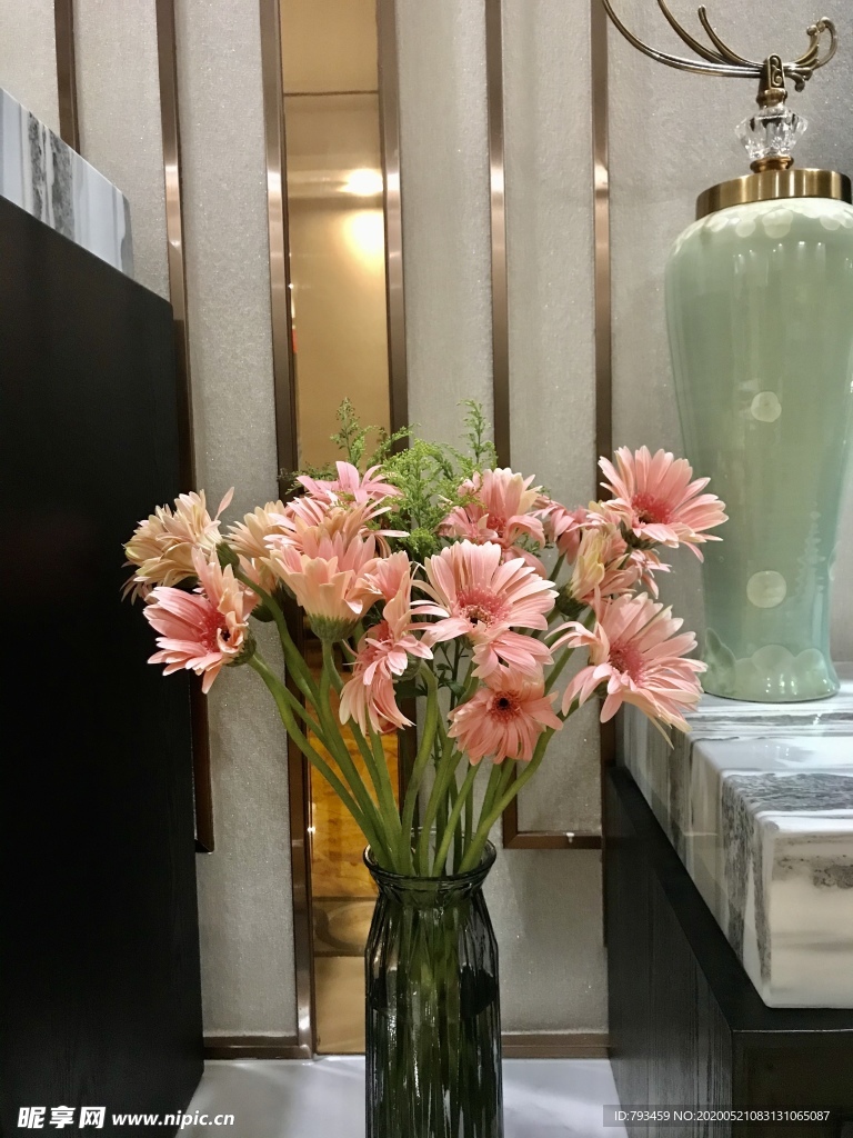 太阳花