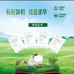 牦牛乳清蛋白专利