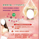 蛋白粉营养