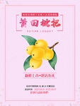 枇杷