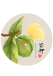 芒种海报
