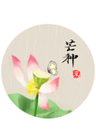 芒种海报