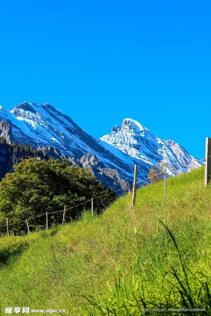 雪山草地