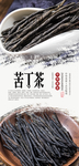 苦丁茶