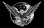 翅膀logo