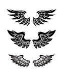 翅膀logo