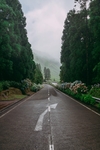 公路风景