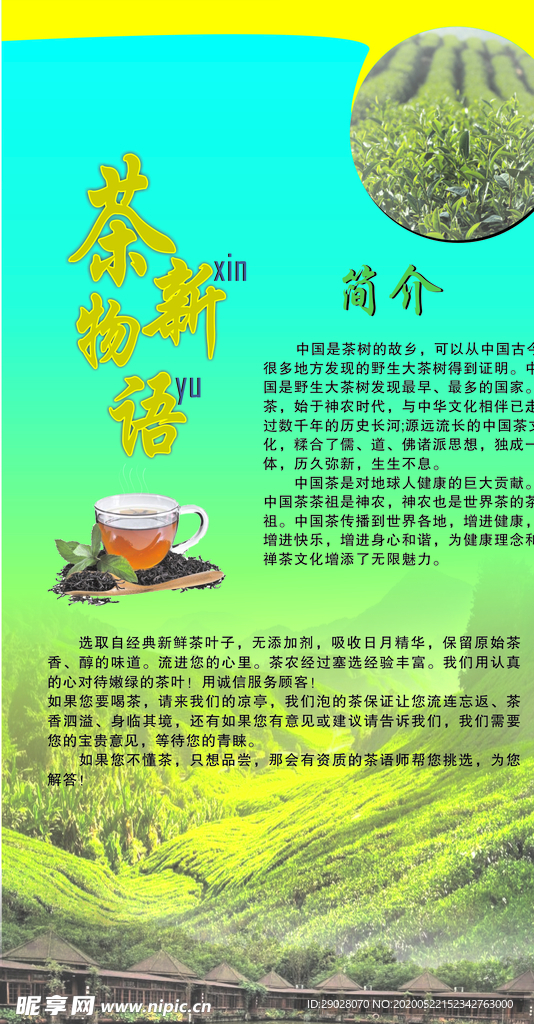 海报简介.茶