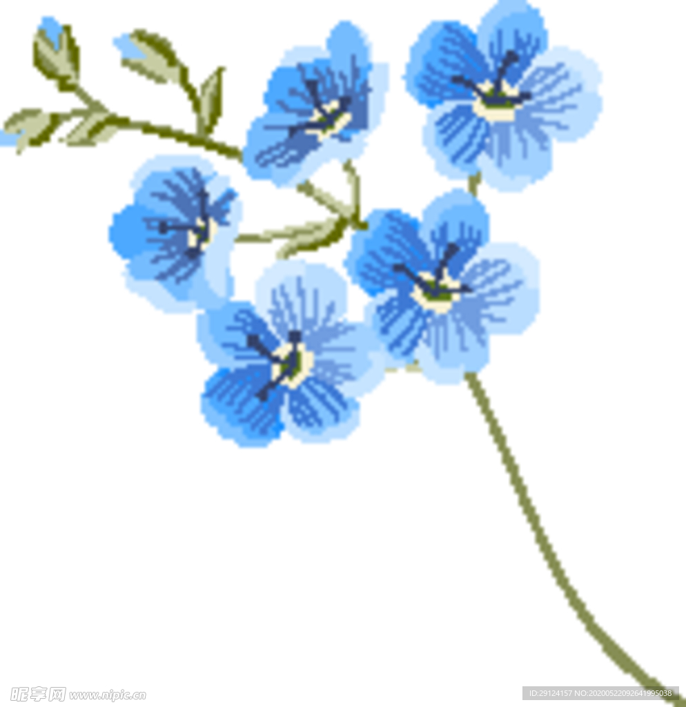 花卉
